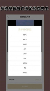 視頻格式轉(zhuǎn)換大師