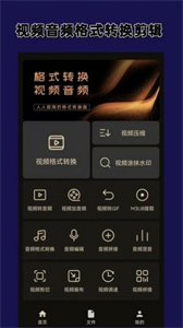 視頻格式轉(zhuǎn)換大師截圖