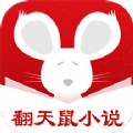 翻天鼠小說(shuō)