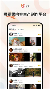 飛黃截圖