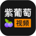 紫葡萄视频剪辑