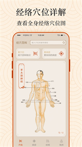 Ai經(jīng)絡(luò)穴位圖截圖