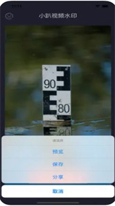 小趴視頻水印截圖