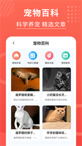 貓貓翻譯器