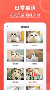 貓貓翻譯器截圖