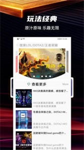 愛羅游戲信息系統(tǒng)截圖