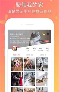 擼寵截圖