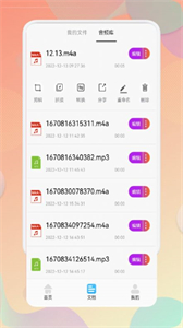 錄音文字互轉(zhuǎn)助手