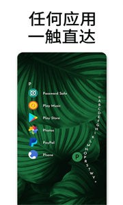 Niagara Launcher截圖