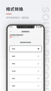 保密錄音機(jī)截圖
