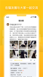 哈啰街貓截圖