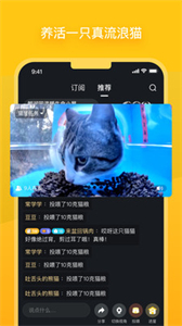 哈啰街貓截圖