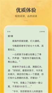 銀翼小說