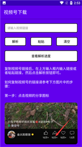 短視頻小秘書截圖