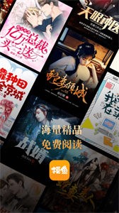 摸魚書院截圖