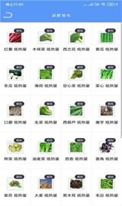 Fit瘦身減肥