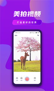 視頻制作王截圖