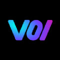 Voi 繪畫