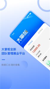 大掌柜服務(wù)商截圖