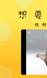 萌寶照相機截圖