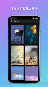 秀秀壁紙截圖