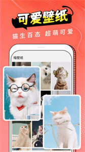 pet貓翻譯