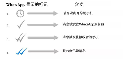 WhatsApp聊天