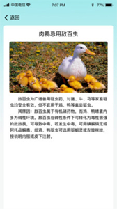 菜園大師截圖