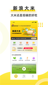 新浪米