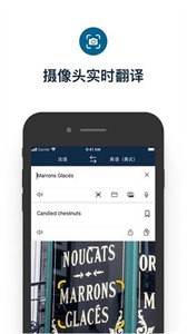 Rosetta Stone截圖