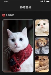 喵喵之家截圖