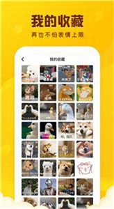 閃萌表情動圖截圖