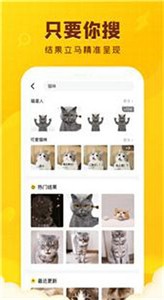 閃萌表情動圖截圖