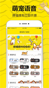 貓語交流翻譯器