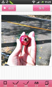 照片大头贴截图