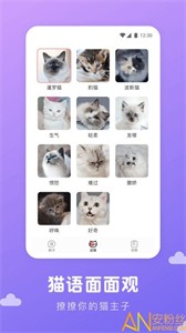 貓語(yǔ)翻譯君截圖