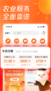 豬博士