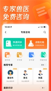 豬博士截圖