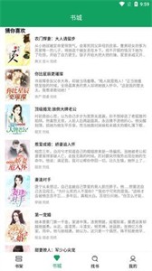 小仙女助手截圖