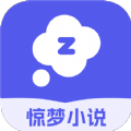 驚夢(mèng)小說(shuō)