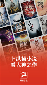 縱橫小說閱讀器