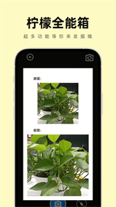 檸檬全能箱