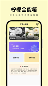檸檬全能箱截圖