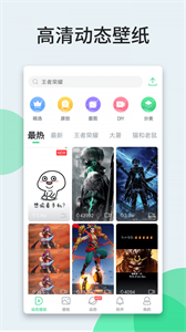貍貍動態(tài)壁紙