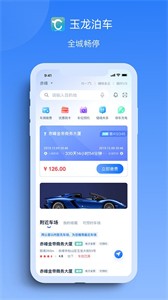 玉龍泊車截圖