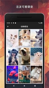 動態(tài)主題壁紙截圖