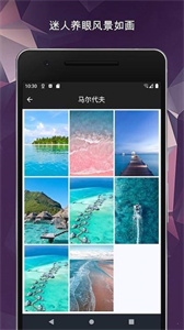 動態(tài)主題壁紙