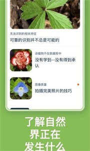 Flora Incognita植物识别截图
