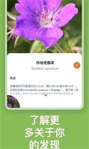 Flora Incognita植物识别截图