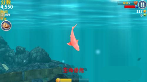 饥饿鲨进化无限金币最新版
